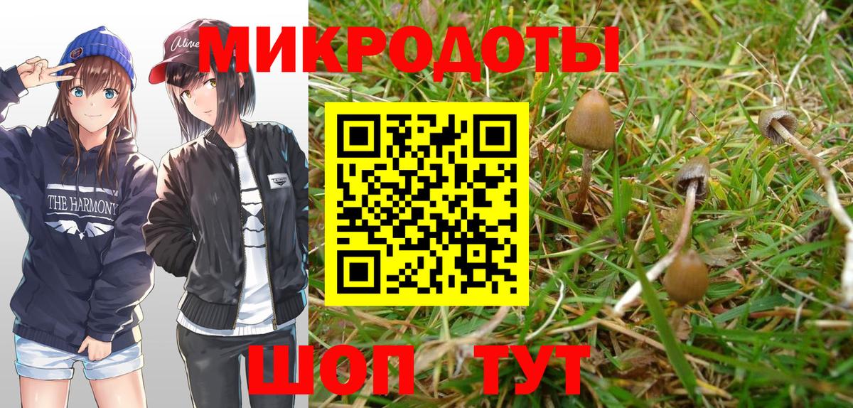 Псилоцибиновые грибы GOLDEN TEACHER  Вход с VPN  Гай 